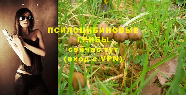 прущая мука Горняк