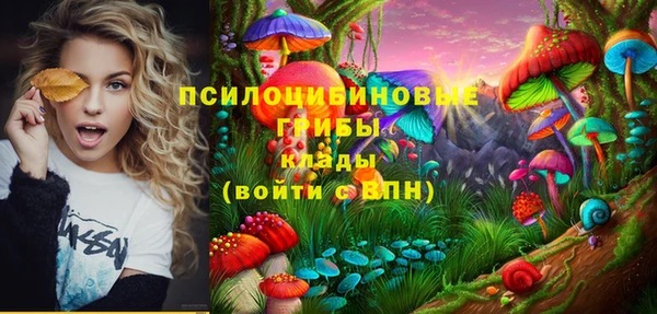 mdpv Горнозаводск