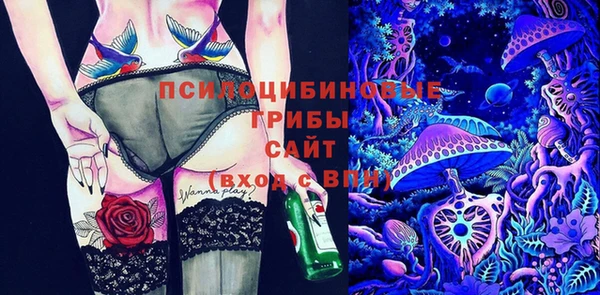 не бодяженный Горно-Алтайск