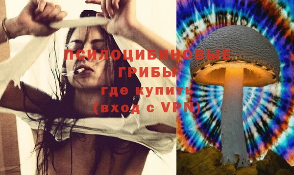 прущая мука Горняк